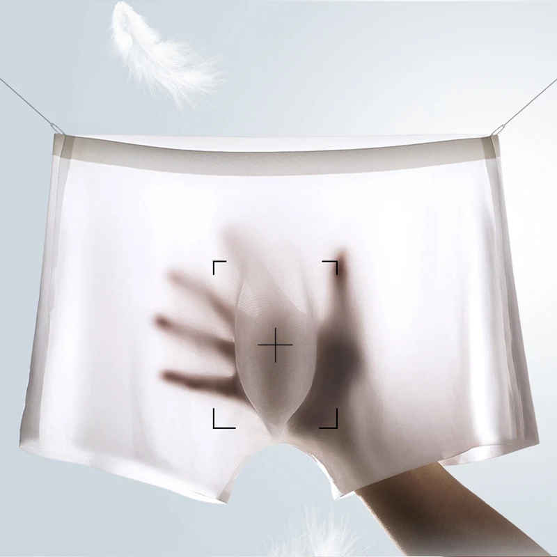 10 Pcs/Lot Men's Summer Ice Si - Boxer Shorts Modal 评论和价格