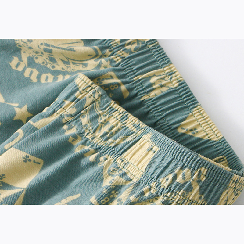 1Pcs Mens Aro Pants Cotton Box - Boxer Brief Pack Cotton 评论和价格