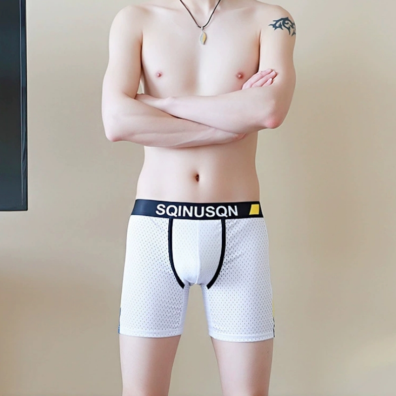 Men's Ice Silk Mesh Boxer Brie - Long Leg Trunk Men 评论和价格