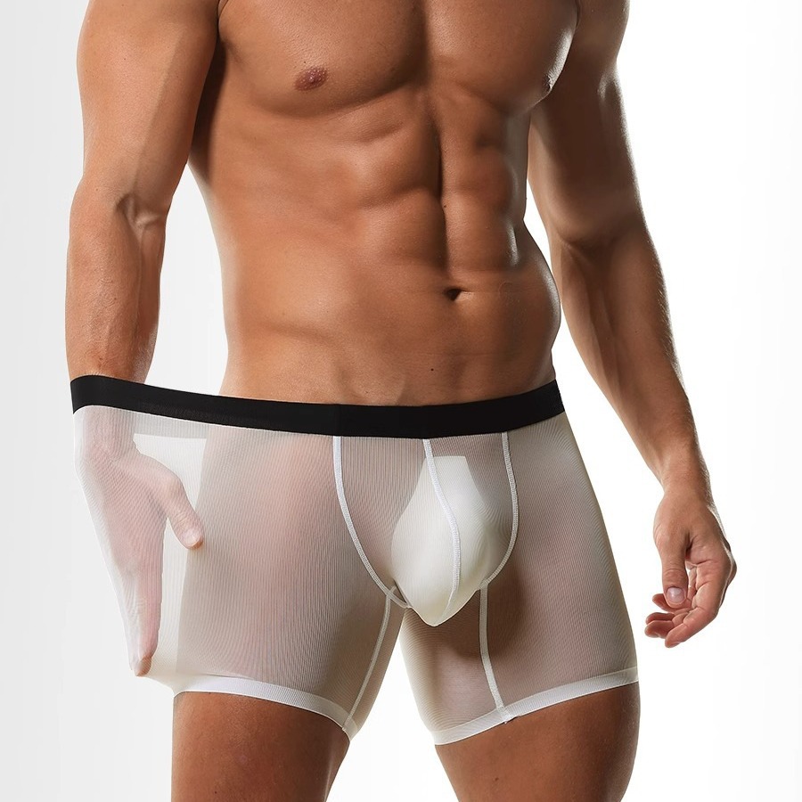 Ice Silk Sheer Mesh Long Leg B - Long Leg Trunk Men 评论和价格